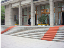 政府機(jī)構(gòu)地墊